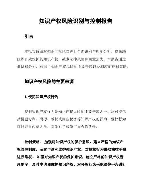 知识产权风险识别与控制报告