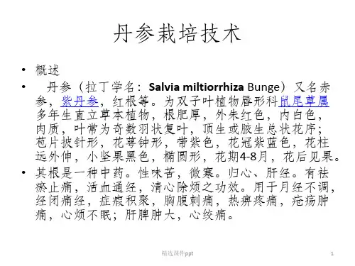 《丹参栽培技术》PPT课件