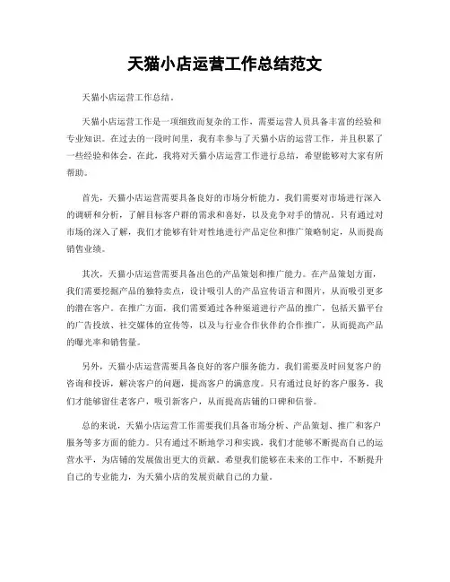 天猫小店运营工作总结范文