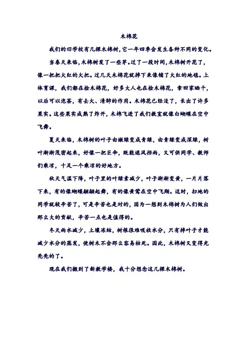 木棉花作文300字左右四年级