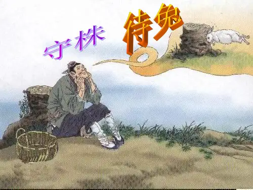 (人教新课标版)二年级语文下册第27课《寓言两则——刻舟求剑》课件(共22张PPT)-经典通用PPT