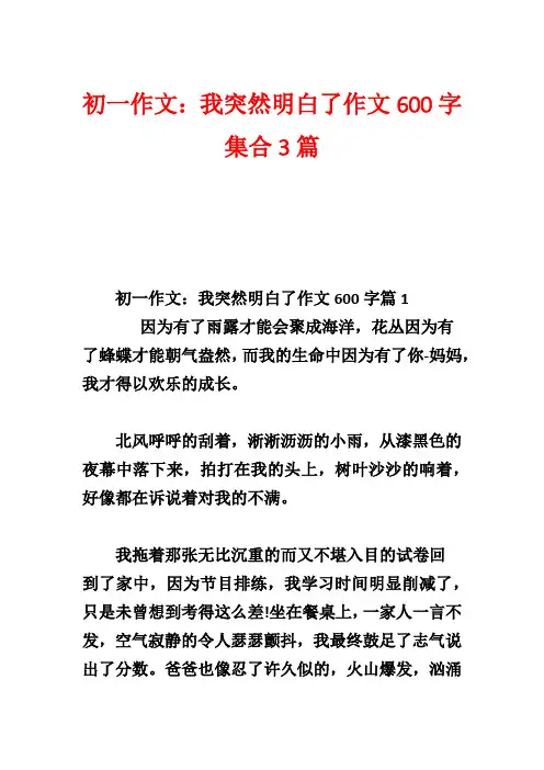 初一作文：我突然明白了作文600字集合3篇