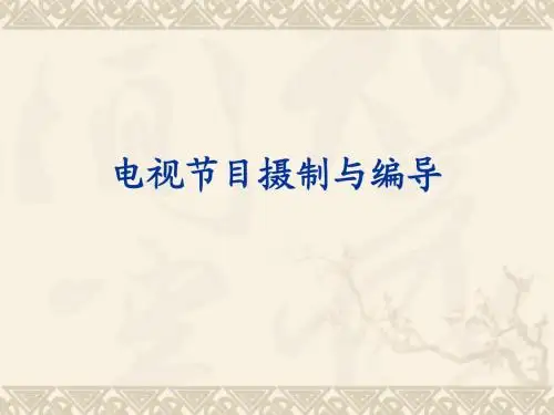 第二章电视艺术特性与电视文化
