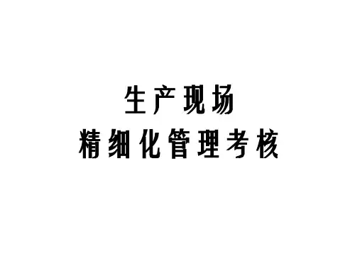 生产现场精细化管理