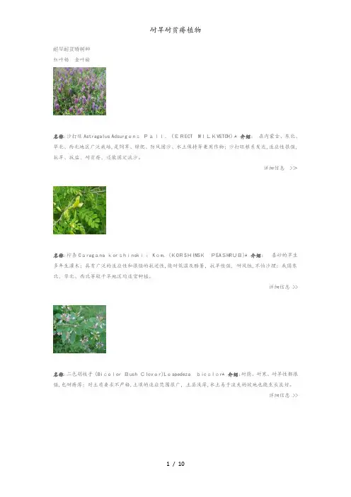 耐旱耐贫瘠植物