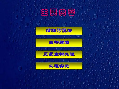 污水生物处理活性污泥ppt课件