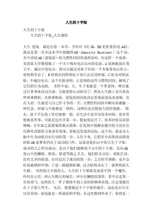 人生的十字架（精简版）