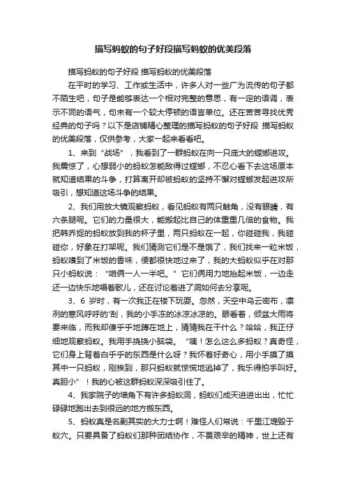 描写蚂蚁的句子好段描写蚂蚁的优美段落
