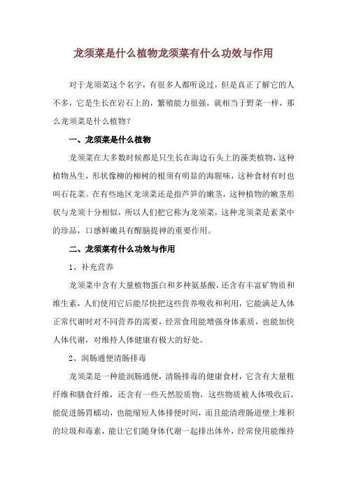 龙须菜是什么植物 龙须菜有什么功效与作用