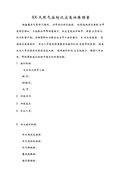 天然气分输站防汛应急演练预案