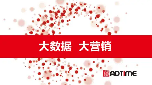 《大数据营销》PPT欣赏