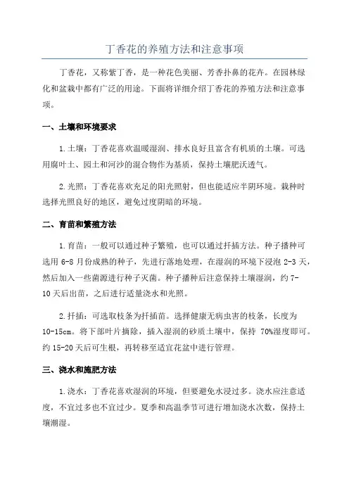 丁香花的养殖方法和注意事项