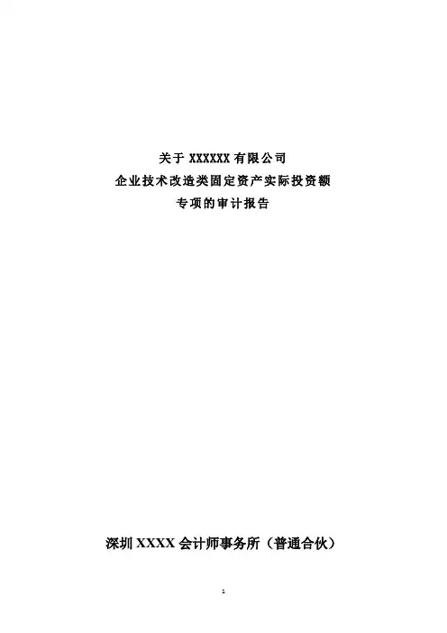 固定资产实际投入情况专项审计报告