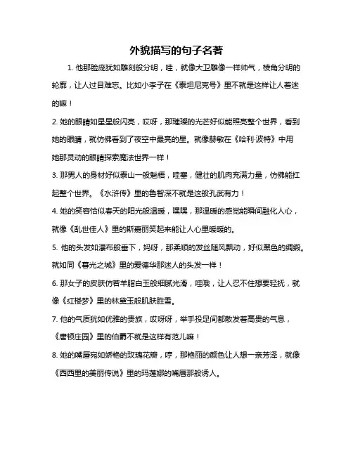 外貌描写的句子名著