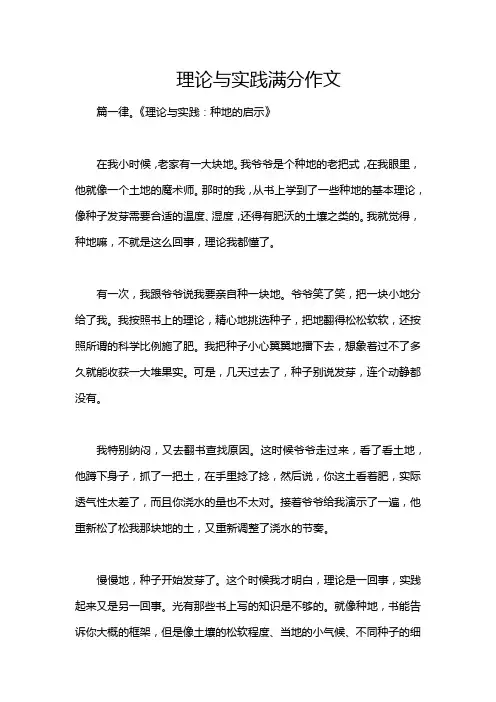 理论与实践满分作文
