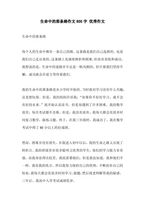 生命中的那条路作文800字 优秀作文