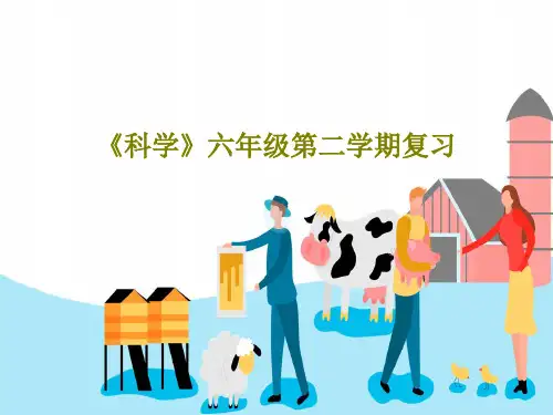 《科学》六年级第二学期复习29页PPT