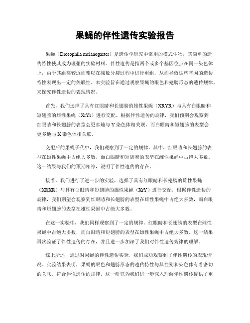 果蝇的伴性遗传实验报告