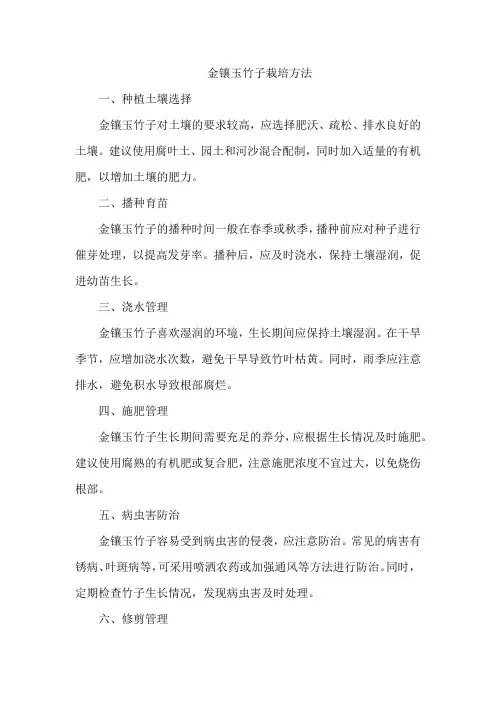 金镶玉竹子栽培方法