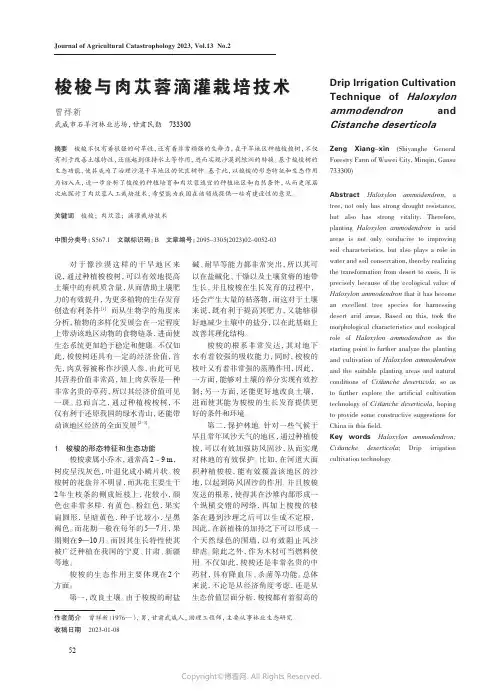 211054431_梭梭与肉苁蓉滴灌栽培技术