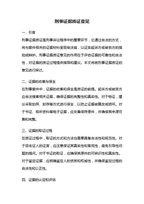 刑事证据质证意见