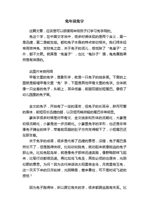 兔年说兔字