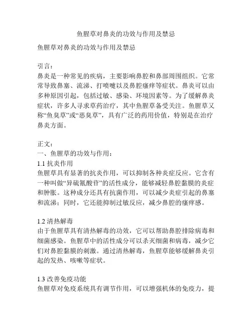 鱼腥草对鼻炎的功效与作用及禁忌