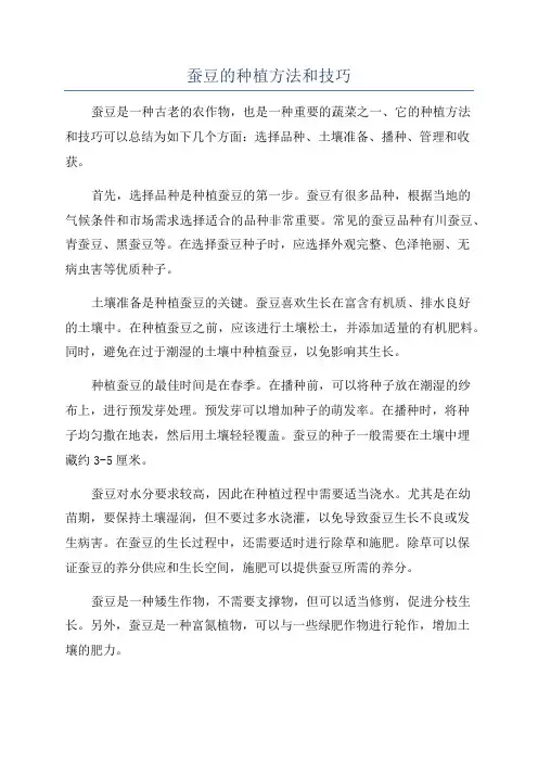蚕豆的种植方法和技巧