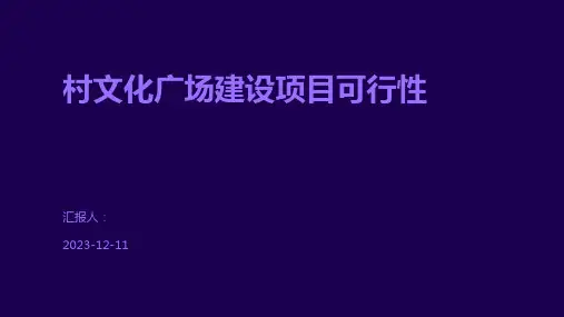 村文化广场建设项目可行性
