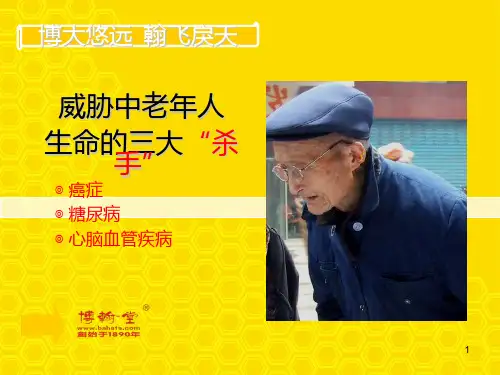 蜂胶 PPT课件