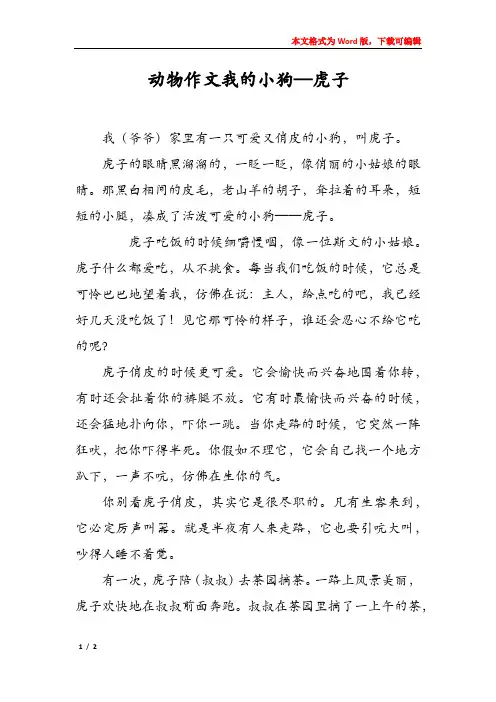 动物作文我的小狗—虎子