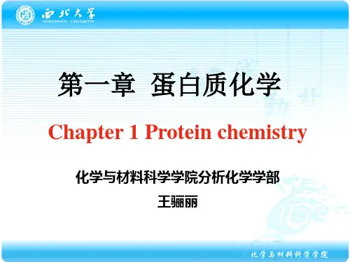 化学生物学导论蛋白质化学12PPT课件