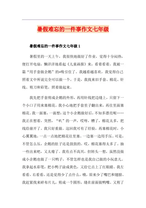 暑假难忘的一件事作文七年级