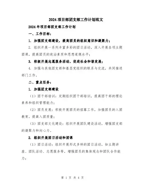 2024项目部团支部工作计划范文
