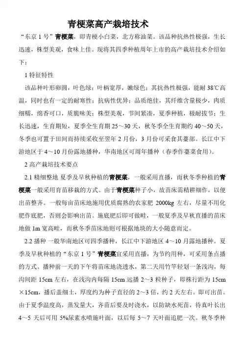 青梗菜高产栽培技术