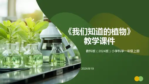 教科版(2024)小学科学一年级上册《我们知道的植物》教学课件