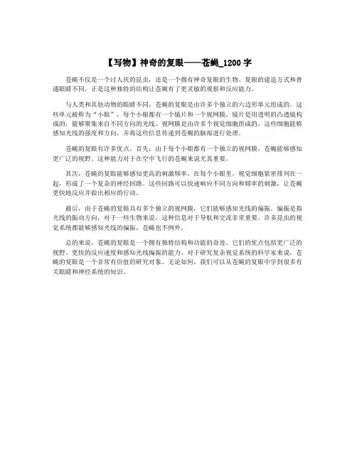 【写物】神奇的复眼——苍蝇_1200字