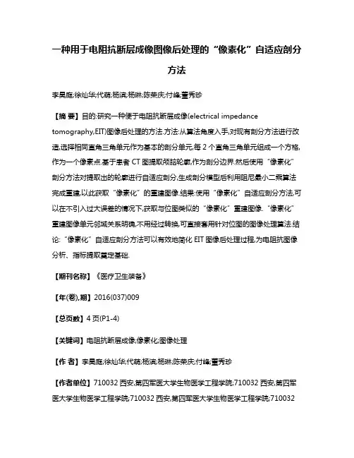 一种用于电阻抗断层成像图像后处理的“像素化”自适应剖分方法