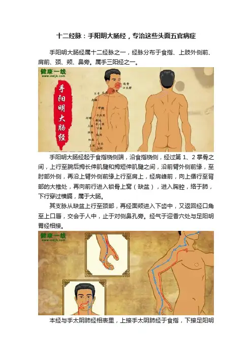 十二经脉：手阳明大肠经，专治这些头面五官病症