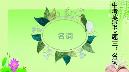 最新2020年中考英语专项复习之名词 (PPT33张)教育课件
