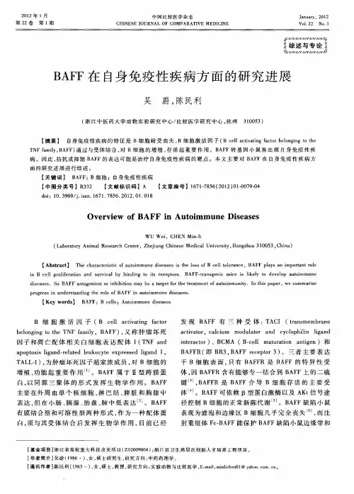 BAFF在自身免疫性疾病方面的研究进展
