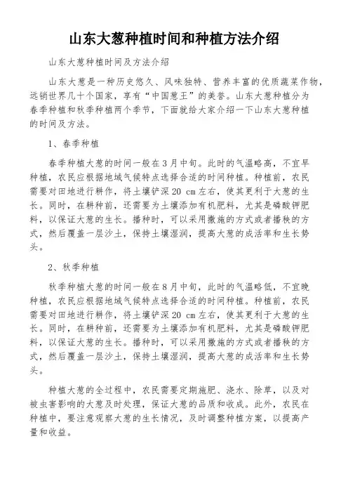 山东大葱种植时间和种植方法介绍
