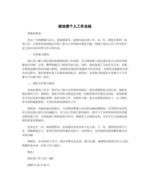 政法委个人工作总结