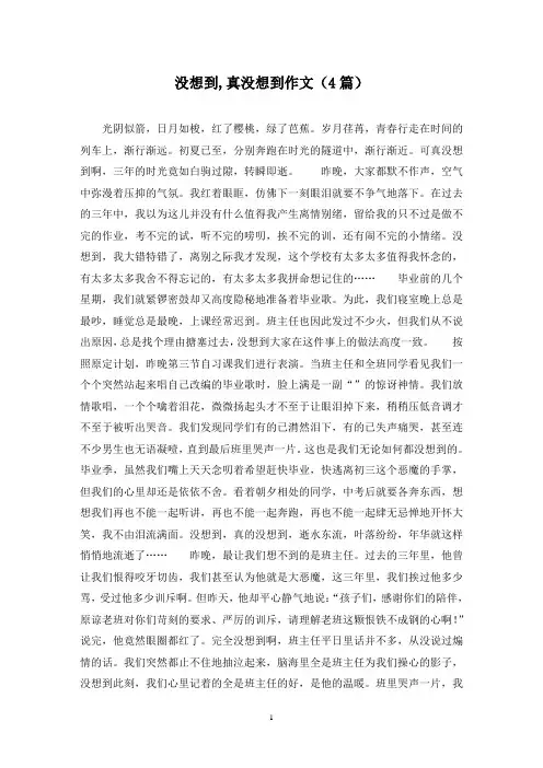 没想到,真没想到作文(4篇)