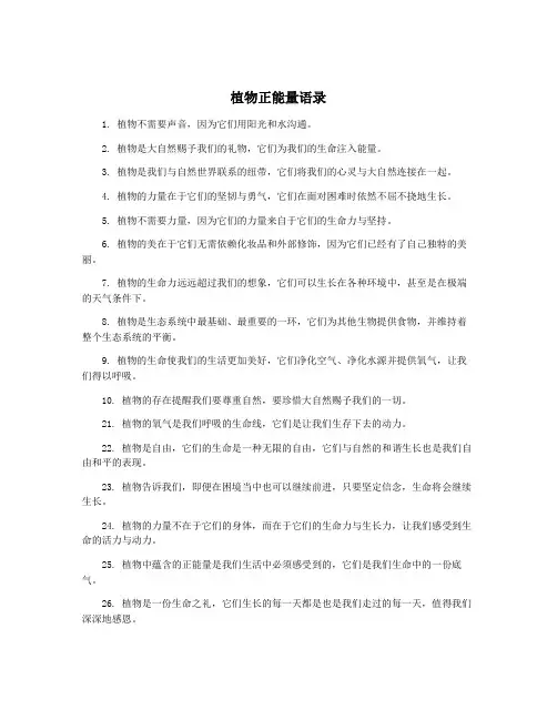 植物正能量语录