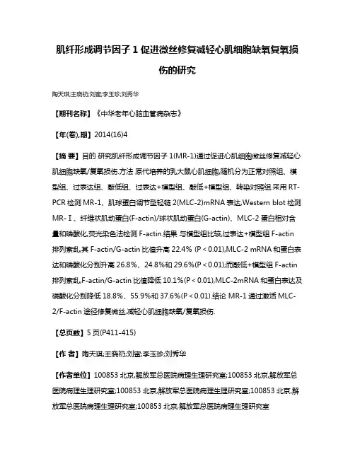 肌纤形成调节因子1促进微丝修复减轻心肌细胞缺氧复氧损伤的研究