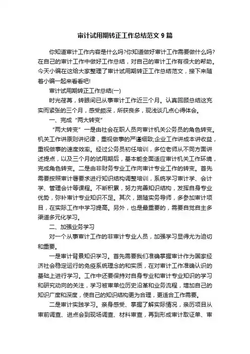审计试用期转正工作总结范文9篇
