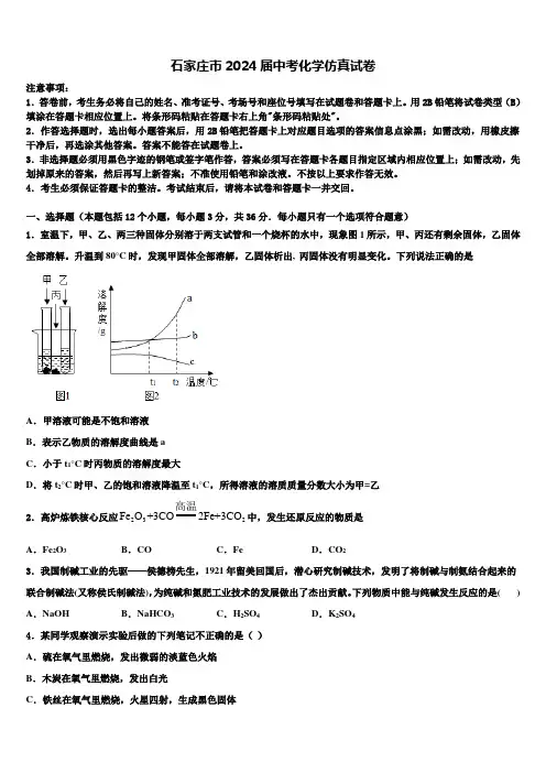 石家庄市2024届中考化学仿真试卷含解析