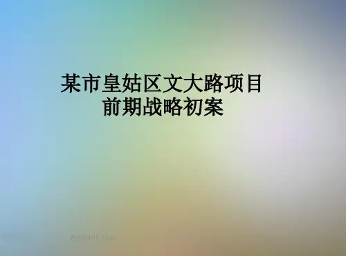 某市皇姑区文大路项目前期战略初案
