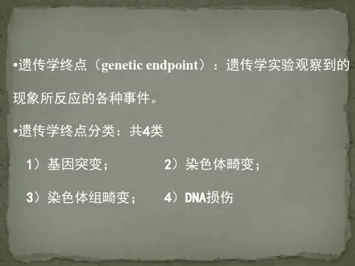 小鼠精子畸形实验